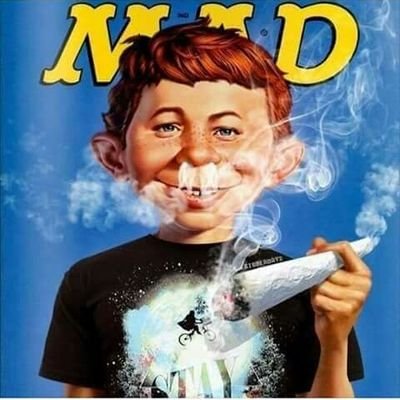 Foto de Rolando Mota